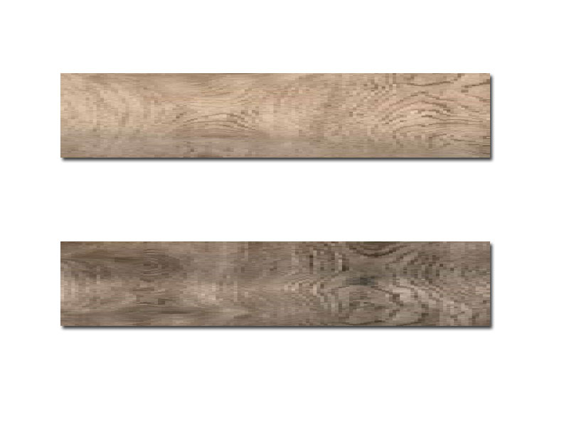 LARVIC 23X120