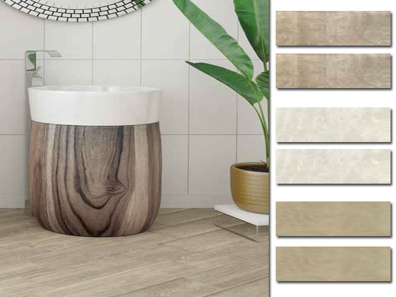 ACACIA 15X60
