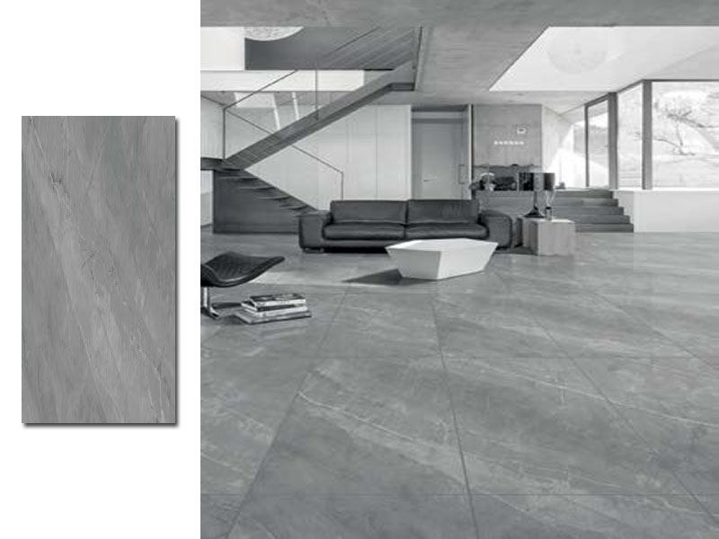 ARMANI STEEL 60X120