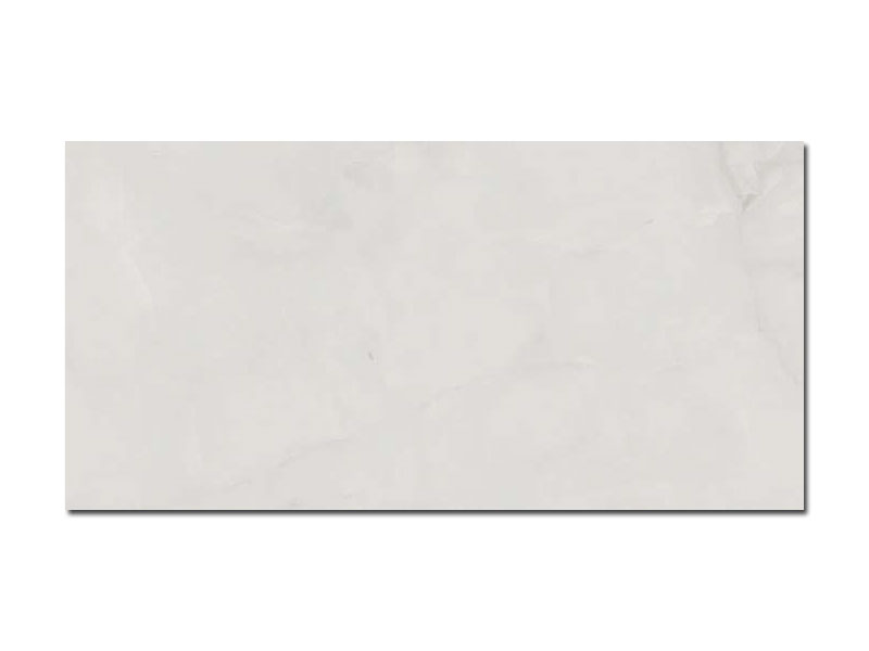 ONICE SILVER 60X120