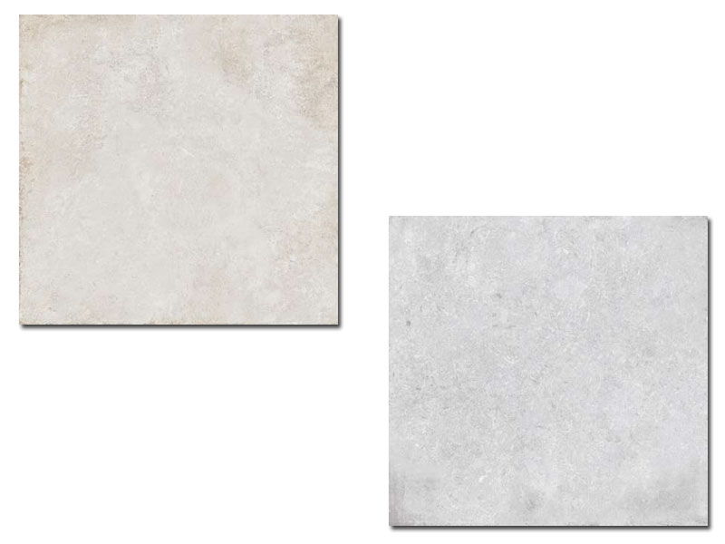 SHELLS 80X80