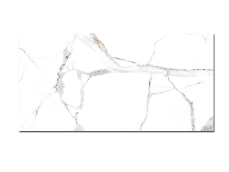 CALAKATTA CENTURY 60X120