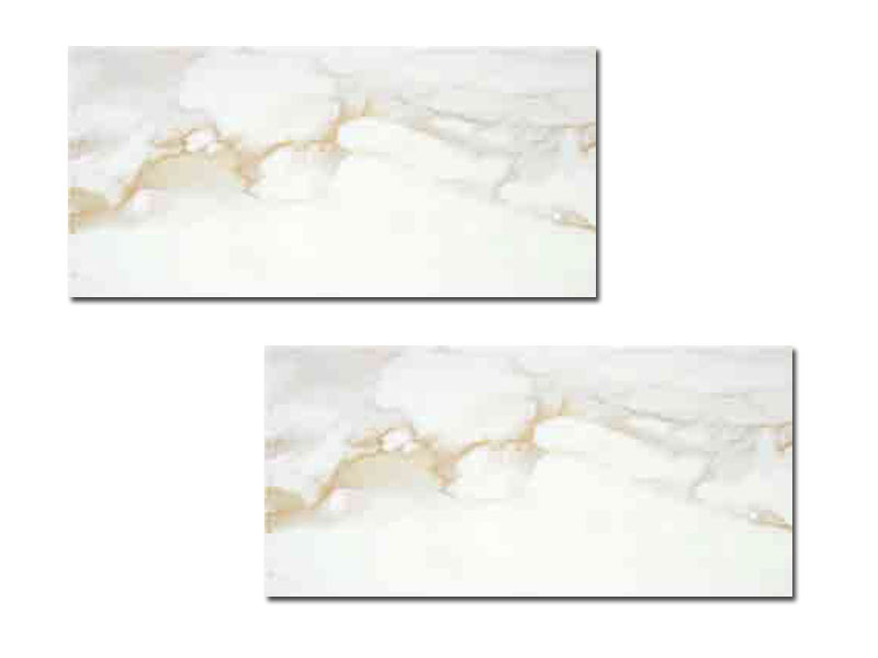 CAMILE GOLD 60X120