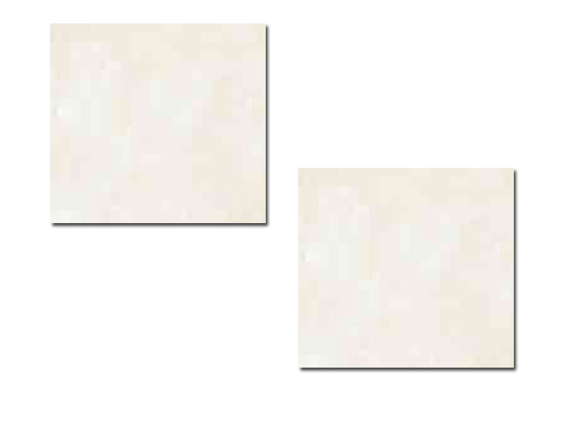 CEMENTUM BONE 60X60